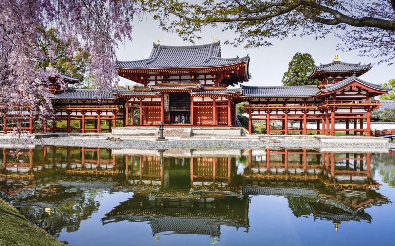 Japan, 2K, Cherry, Spring, Temple, Reflection, byodo, Pond