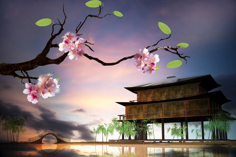 wood - Material, no People, cherry Blossom, brown, built structure, house, asia, architecture, blue, formal Garden, pink, japanese Culture, cultures, tree