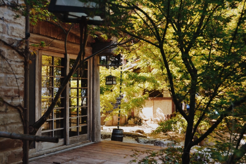 architecture, japanese lantern, vegetation, door, sunlight, absence, japan, nature, home, plants, italy, lantern, branch, 4K, open, wood - material, zen