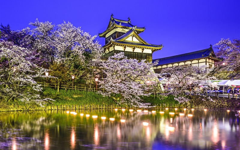 Pond, Japan, Koriyama, Cherry, Castle, Trees, Yamatokoriyama, Night, 2K