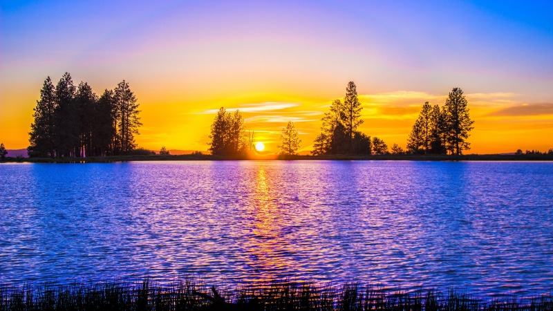 water, sky, afterglow, orange sky, silhouette, sunset, orange sunset, tree, dusk, evening, lake, 5K