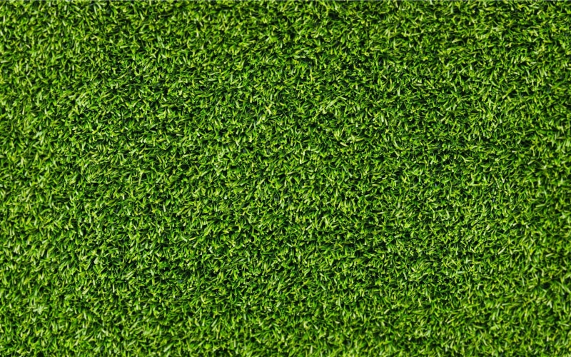 soccer field, golf, grass, green - golf course, american football field, green, turf, soccer, plant, blank, textured effect, stadium, playing field, textured