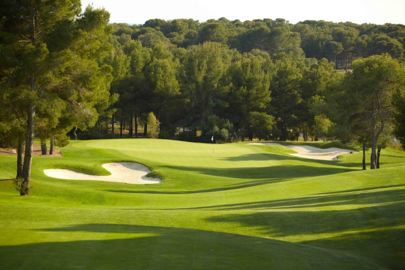 tree, 1080P, scenics - nature, day, golf course, flag, tranquil scene, sand trap, golf background hd, activity, golf, outdoors, tranquility, green - golf course
