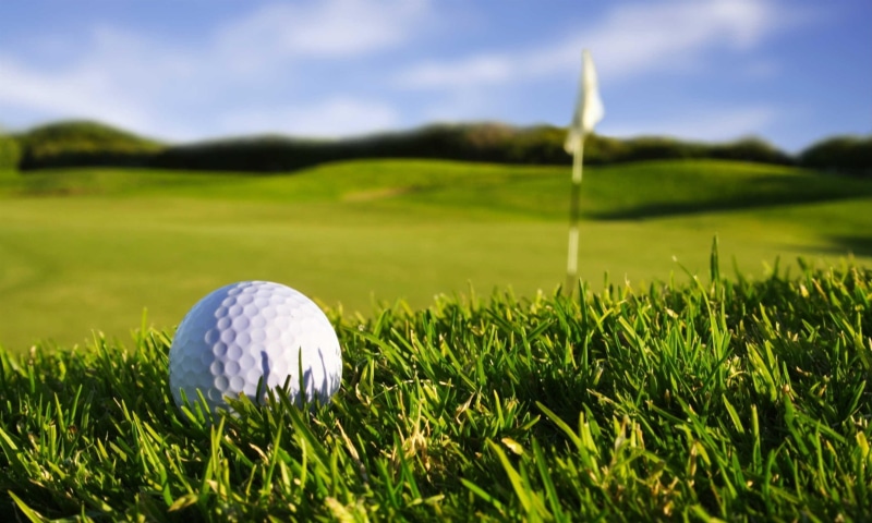 sport, grass, outdoors, no people, green color, green - golf course, plant, golf club, golf ball, activity, putting green, leisure activity, sports, golf course