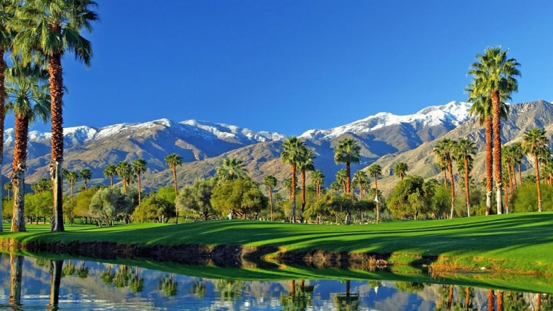 tree, water, grass, tranquility, landscape, no people, california, nature, coachella valley, tranquil scene, united states, scenics - nature, reflection