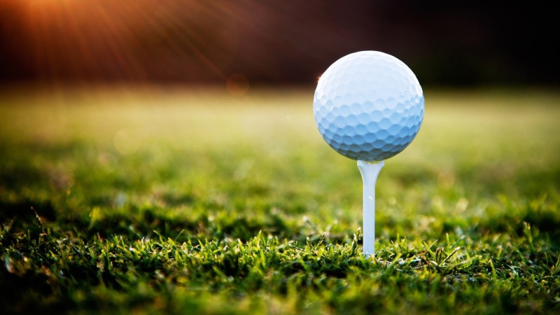 summer, activity, sport, nature, motion, green color, plant, ball, 1080P, close-up, tee, green - golf course, golf ball, selective focus, no people, macro