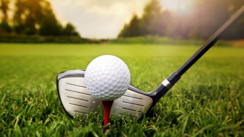 sports, golf ball, plant, sport, recreational pursuit, hitting, fashion, tee, driver - golf club, golf, close-up, green color, leisure activity