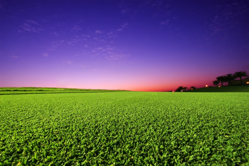 Golf course, Green grass, Sunset, 2K