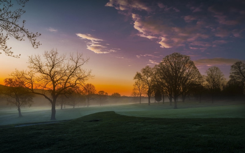 golf course, mist, landscape, clouds, lawns, morning, trees, nature, 1080P