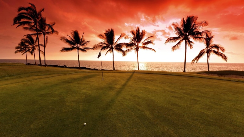 twilight, 1080P, golf ball, evening, horizon palm tree, silhouette, course, sports, golf, green, grass, serenity, sunset