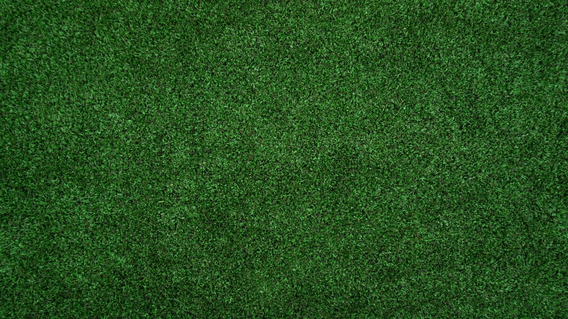 blank, playing field, sport, leisure activity, no people, full frame, team sport, textured, soccer, 5K, american football field, lawn, american football - sport