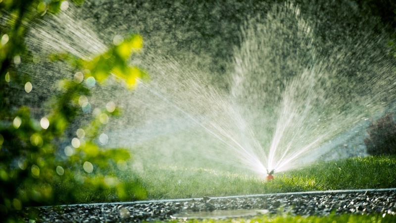 grass, watering, wet, 4K, sunlight, architecture, spraying, power in nature, green, garden, nature, irrigation system, motion, tree, garden hose, sprinkler