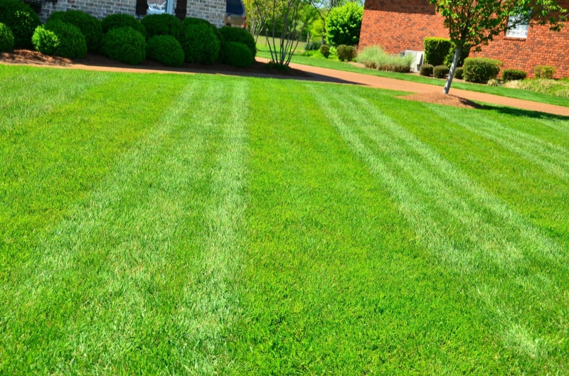 lawn maintenance, sport, environment, tree, outdoors, built structure, grass cutting, architecture, lawn, 1080P, green Color, nature, lawn services, beauty in nature