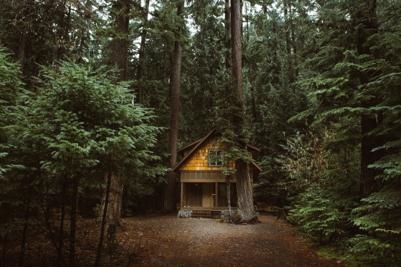 nature, tree, green color, cottage, tranquility, brown, plant, no people, forest, house, hut, woodland, outdoors, built structure, land, architecture, tree trunk