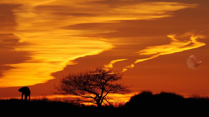 scenics - nature, morning, savanna, outdoors, landscape, nature, orange color, herbivorous, ocean, water, environment, evening, sky, cloud, cloud - sky