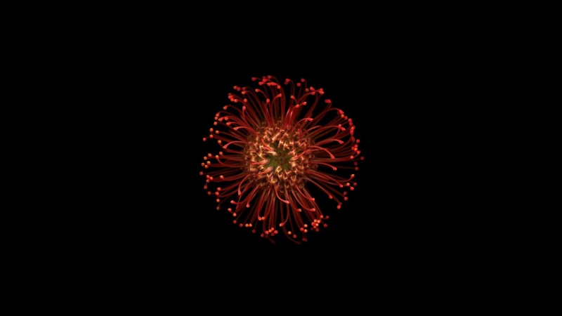 yellow, motion, glowing, firework - Man Made Object, light - Natural Phenomenon, studio shot, traditional Festival, ornament, vibrant Color, Apple, indoors