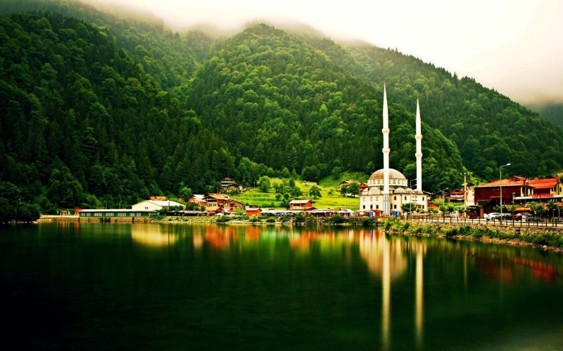 waterfront, mountain, Hills, forest, growth, architecture, landscape, no people, Uzungöl, built structure, beauty in nature, 1080P, lake, nature, water