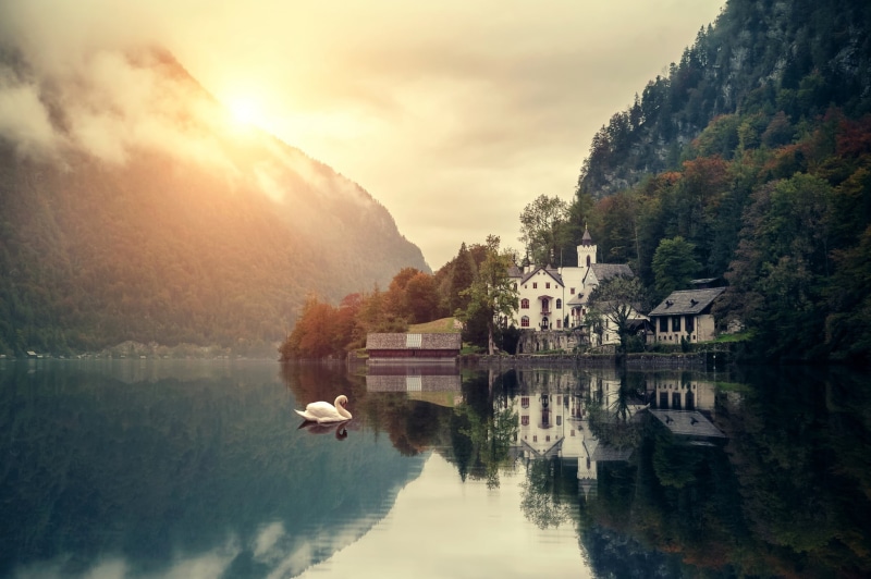 house, water, plant, day, hallstatt, hill, building exterior, mode of transportation, fog, european Alps, no People, swans, waterfront, tree, outdoors
