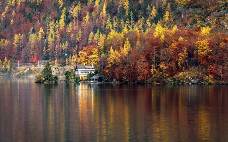 Austria, autumn collection, water, Hallstatt, tree, lake, beauty in nature, outdoors, tranquil scene, no people, waterfront, autumn, idyllic, day, scenics - nature