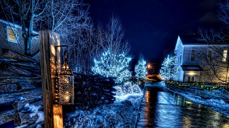 xmas, bare tree, built structure, lighting equipment, christmas, 1080P, tree, building exterior, night, nature, motion, lighting, no people, sky, christmas lights