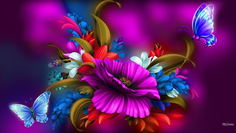1080P, Colorful, Spring, Flower, Butterfly, Artistic, Colors