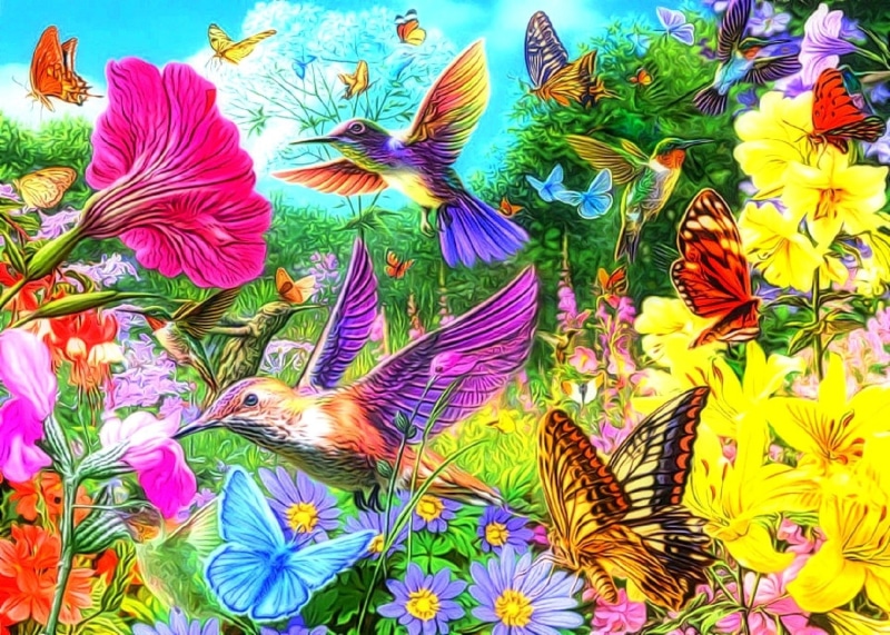 720P, Colorful, Butterfly, Flower, Artistic, Bird, Collage, Colors, Spring