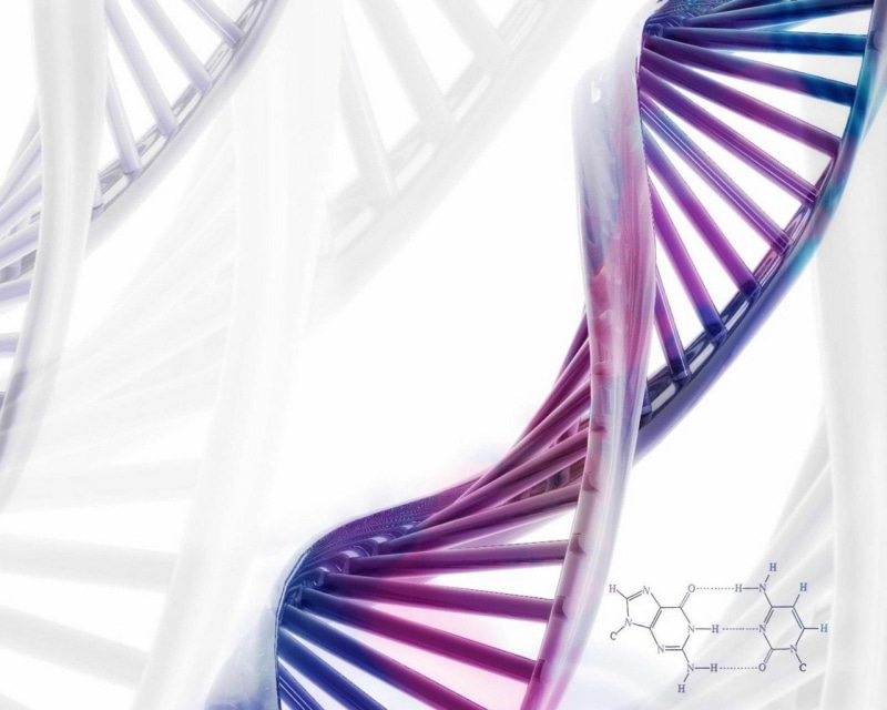 720P, dna structure