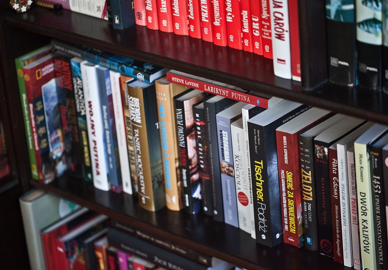 library, knowledge, read, authors of books, lot, shelf, text, 5K, learning, communication, bookshelf, reading, literature, books on the shelf, no people