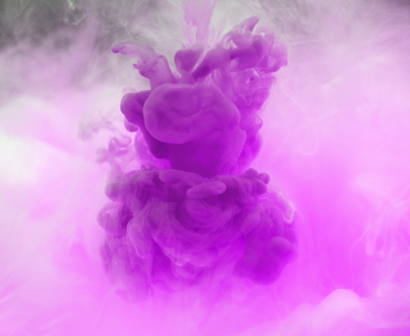 freshness, plant, nature, beauty in nature, clumps, creativity, color Image, no people, pink Color, studio shot, indoors, abstract, light, softness, lilac