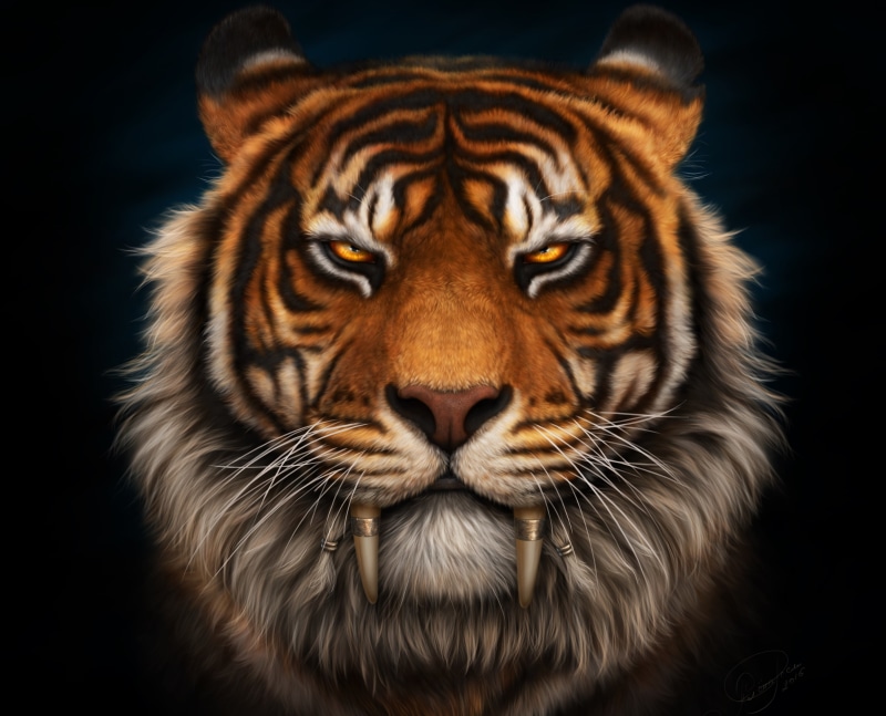 animal themes, portrait, looking at camera, no people, one animal, animals in the wild, tiger, close-up, animal head, cat, whisker, striped, mammal, 2K