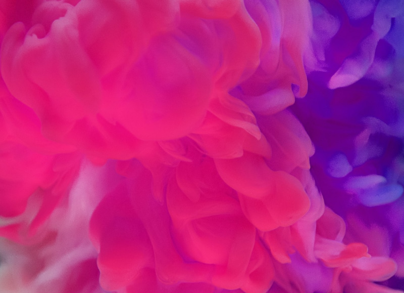 fancy, effect, patt, design, plant, flow, vibrant color, creative, aquatic, fragility, ink, funky, nature, freshness, element, decoration, color, movement