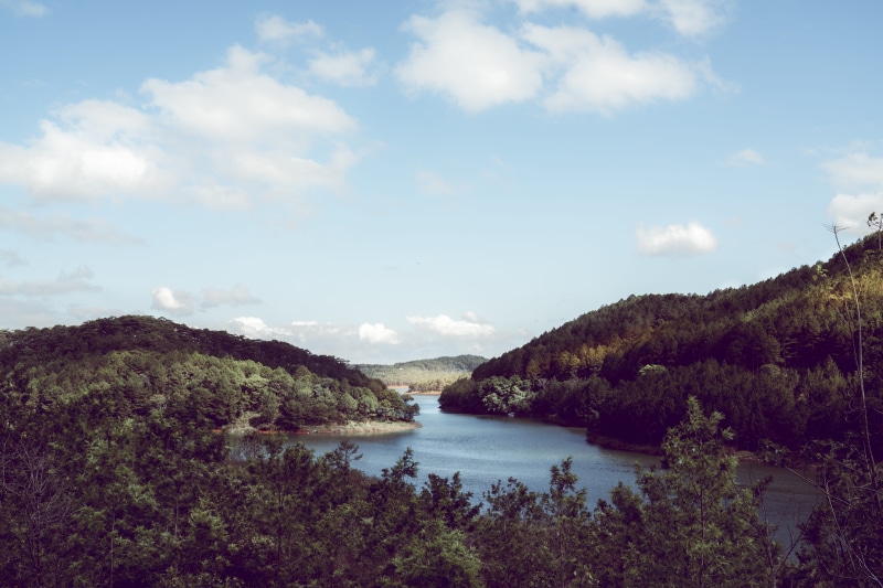 vietnam, tree, beauty in nature, no people, river, travel, outdoors, forest, landscape, nature, dalat, mountain, blue, water, plant, scenics - nature, tranquility