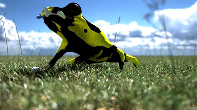 no people, sky, frog, nature, plant, surface level, Blender, animal, representation, outdoors, animal representation, land, one animal, animals in the wild