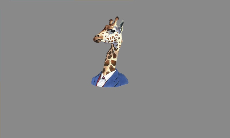no people, full length, 720P, cut out, animals, one animal, Gentleman, brown, giraffe, minimalism, animal neck, black background, looking, business, mammal