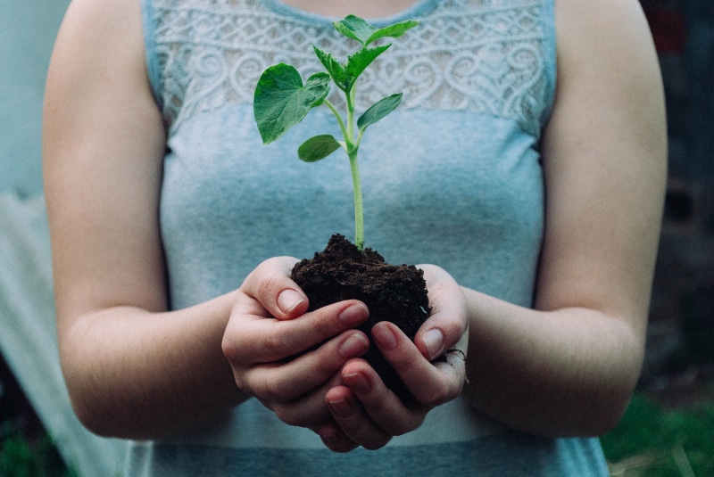 focus on foreground, standing, person, dirt, vulnerability, environment, plant, spring, nature, holding, soil, midsection, plant part, young, backyard