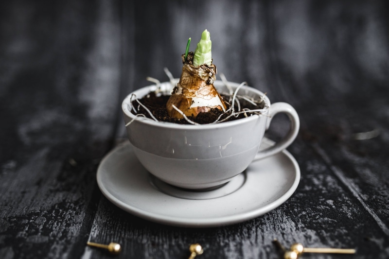 drink, golden, mug, selective focus, hot drink, pins, crockery, kitchen utensil, cup, close-up, studio shot, 5K, cut, saucer, brown, wood - Material, sweet