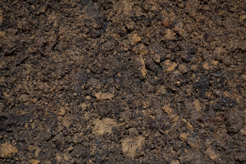 mix, brown, land, nature, rough, potting, natural, cultivated, outdoors, abstract backgrounds, dirt, garden, concrete, stone - object, gardening, 4K, grow