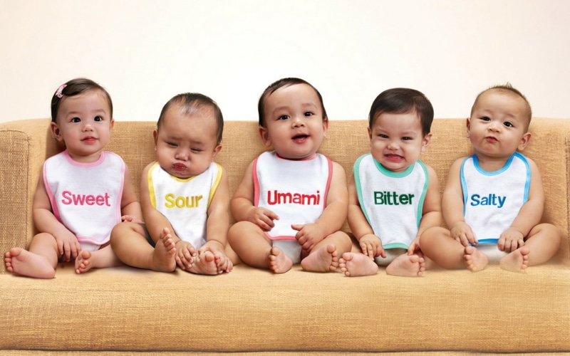 720P, five, child, men, Baby, s, boys, assorted, indoors, sweet, group of people, looking at camera, people, innocence, studio shot, portrait, bibs, childhood
