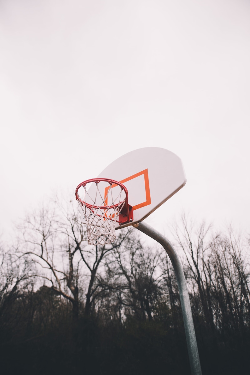 mid-air, no people, plant, playing, red, bib, team, team sport, leash, hoop, basketball - ball, sky, crayon, court, orange, blossom, silhouette, ball, dahlia