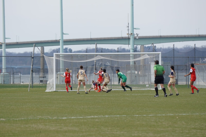 group of people, ball, soccer field, football field, silhouette, sports uniform, arena, child, kicking, team sport, person, boys, real people, men, team