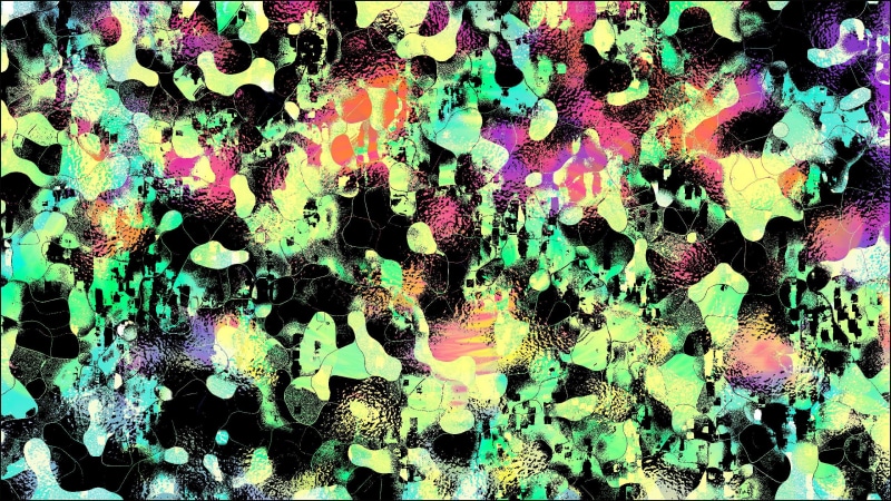 LSD, botany, plant, floral, pattern, growth, red, textured, textile, backgrounds, freshness, day, full frame, beauty in nature, psychedelic, nature, high angle view