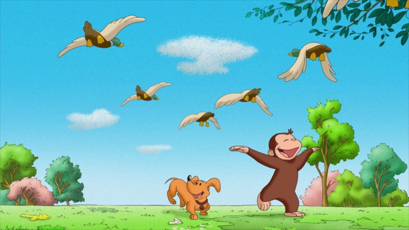1080P, george, curious