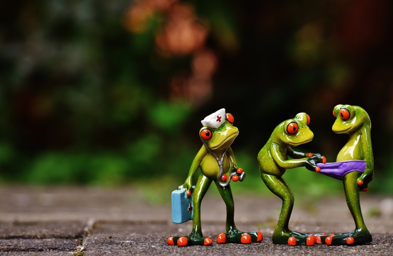 green color, no people, outdoors, emergency, figures, frog, sweet, toy, figurine, multi colored, food, curious, figurines, eye, food and drink, animal themes