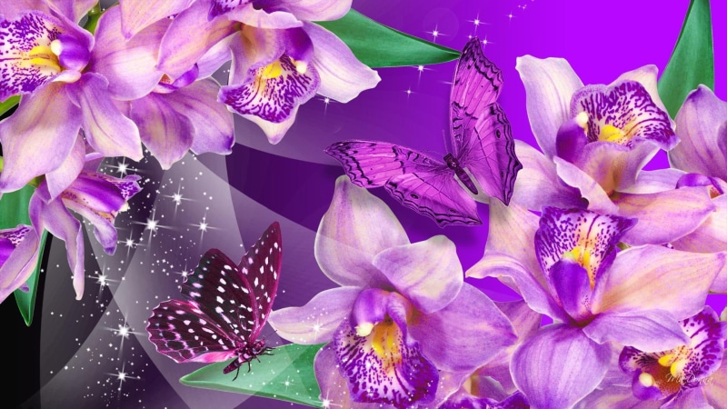 fleurs, delicate, papillon, pink, glitter, orchid, butterfly, dance, bright, extotic, flowers, butterflies, stars, 1080P