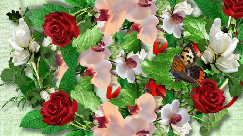 bright, flowers, 1080P, season, grass, butterflies, butterfly, orchi, papillon, leaves, colorful, red roses, roses