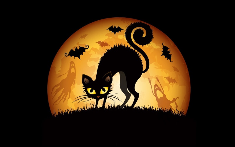 illustration, 1080P, silhouette, no people, digital composite, fantasy art, cat, illuminated, text, Halloween, indoors, orange color, lighting equipment