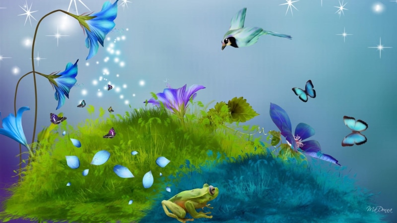1080P, petals, frog, butterflies, stars, bird, glow, firefox persona, 3d and abstrac, sparkle, night, flowers, grass