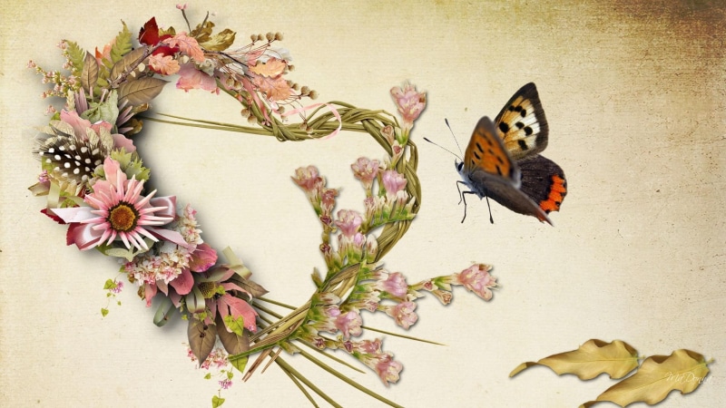butterfly, leaves, heart, autumn, 3d and abstract, 1080P, flowers, fall, firefox persona
