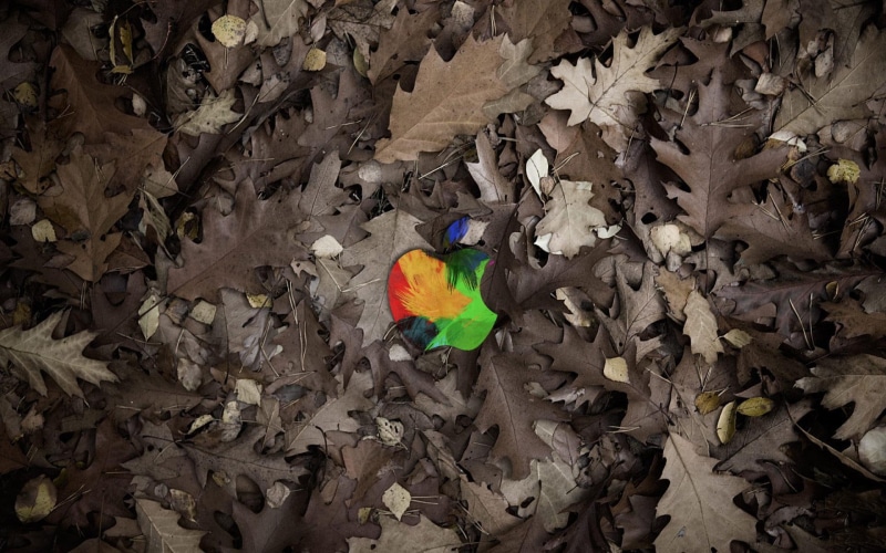1080P, among, macintosh, apple, leaves, logo, 1920x1200, computers