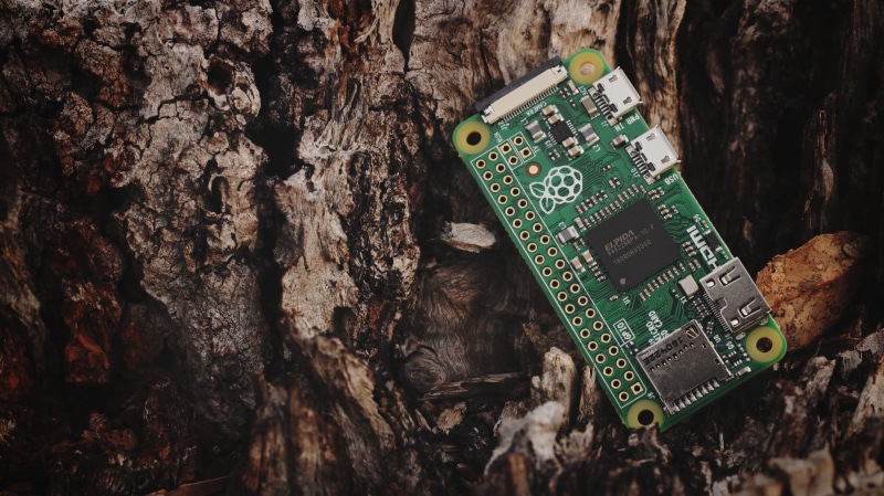 circuit, mother Board, pi, plant, connection, wood - material, tree trunk, trunk, outside, chip, science, circuit Board, raspberry pi, green color, text